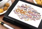 The Power of Critics: Influencing and Mirroring Public Perception
