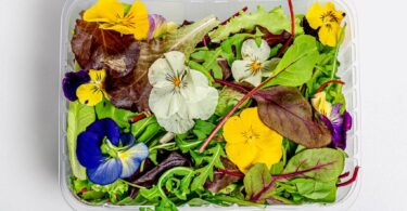 Edible Flowers: Culinary Uses in Modern Cooking
