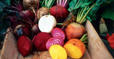 Root Vegetables: A Richness of Diversity and Flavor