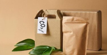 Eco-Friendly Packaging: Revolutionizing the Beauty Industry