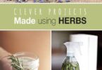 Diy Herbalism and Natural Remedies: A Beginner’s Guide