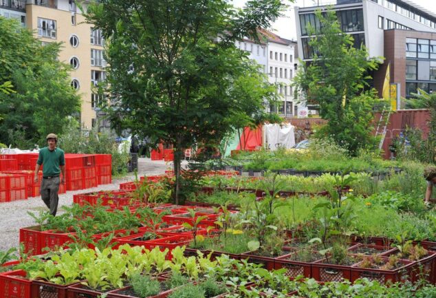Urban Gardening: The Ultimate Guide to City Planting