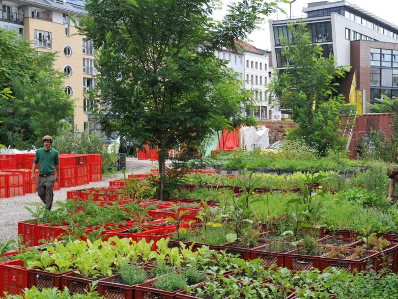 Urban Gardening: The Ultimate Guide to City Planting